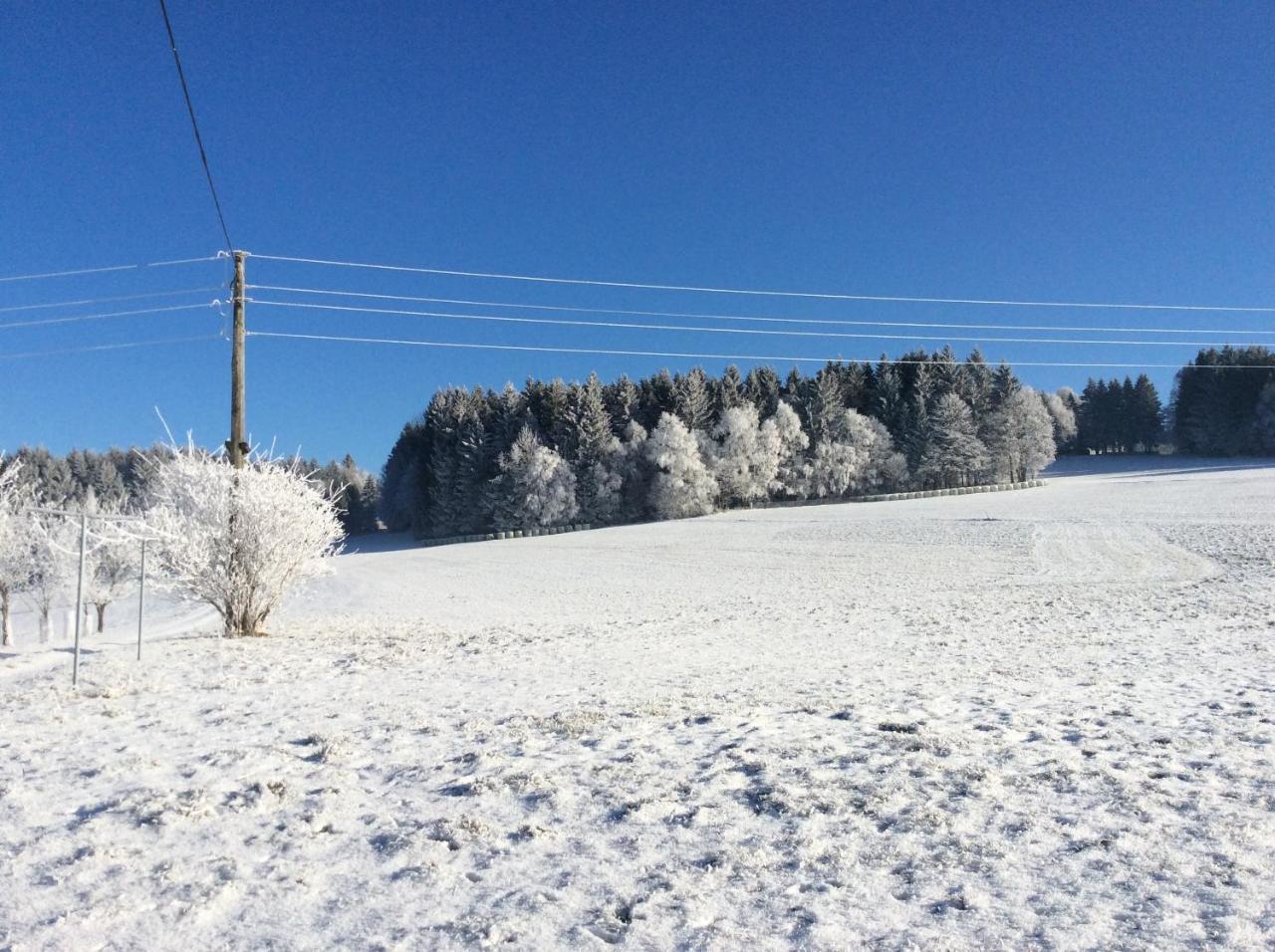 Willa Ferienbauernhof Koller Helfenberg Zewnętrze zdjęcie